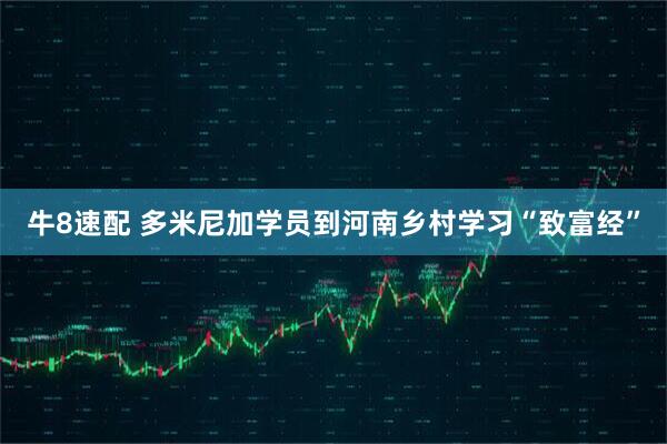 牛8速配 多米尼加学员到河南乡村学习“致富经”