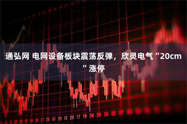 通弘网 电网设备板块震荡反弹，欣灵电气“20cm”涨停