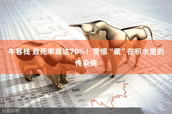 牛客栈 致死率高达70%！警惕“藏”在积水里的传染病