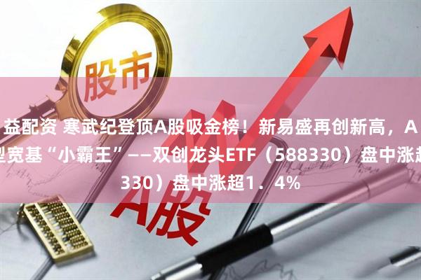 益配资 寒武纪登顶A股吸金榜！新易盛再创新高，A股成长型宽基“小霸王”——双创龙头ETF（588330）盘中涨超1．4%