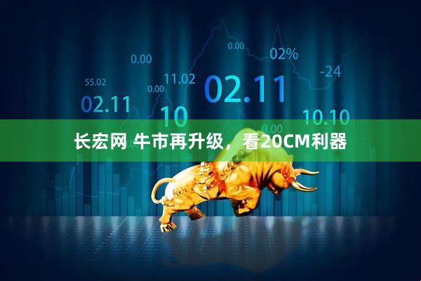 长宏网 牛市再升级，看20CM利器