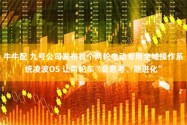 牛牛配 九号公司发布首个两轮电动专用全域操作系统凌波OS 让两轮车“会思考、能进化”