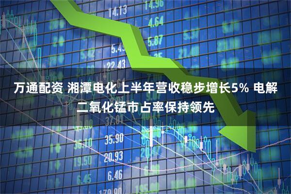 万通配资 湘潭电化上半年营收稳步增长5% 电解二氧化锰市占率保持领先